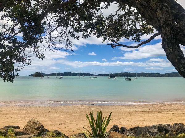 Paihia Bay of Islands