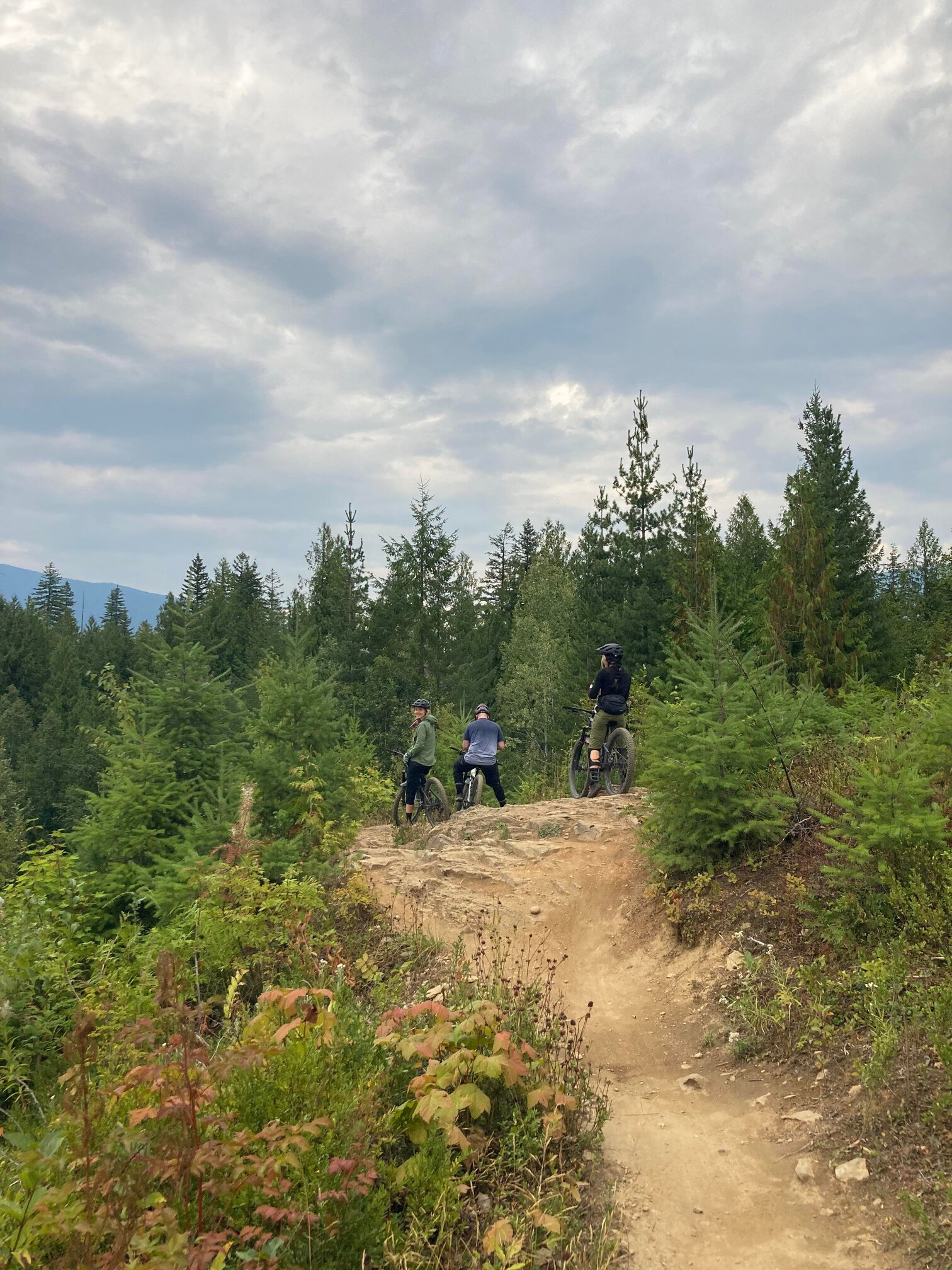Mountainbikers op berg in Revelstoke
