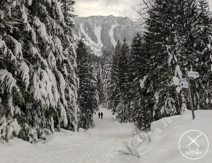 Revelstoke - sneeuw 