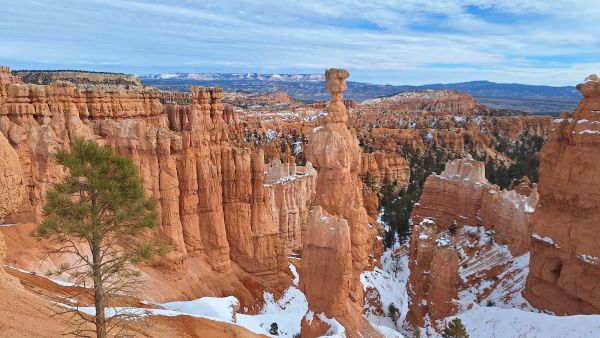 Bryce canyon- must see tijdens je roadtrip Amerika