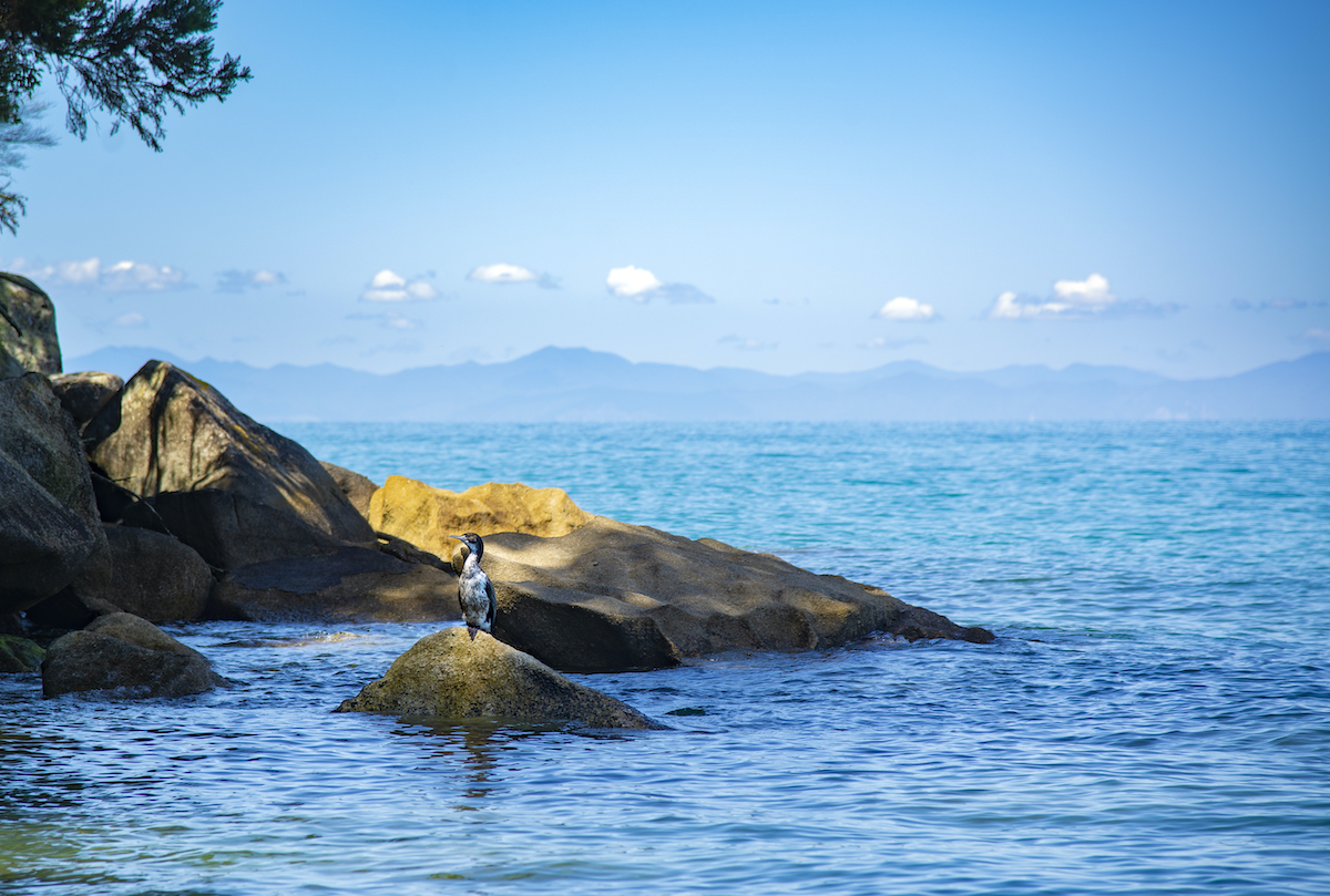 Abel Tasman door Anniek Mulder
