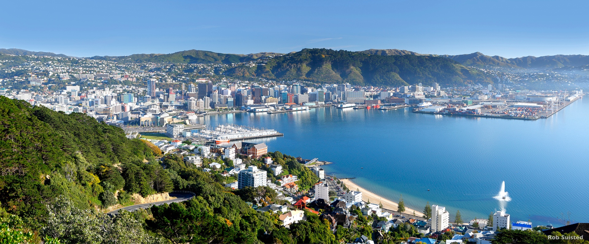 Skyline Wellington