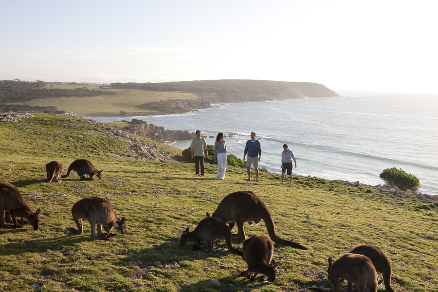 Kangaroo Island