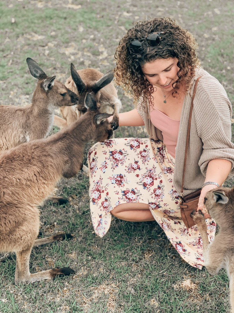 Girl feeding kangaroos Glen Forest Tourist Park Port Lincoln