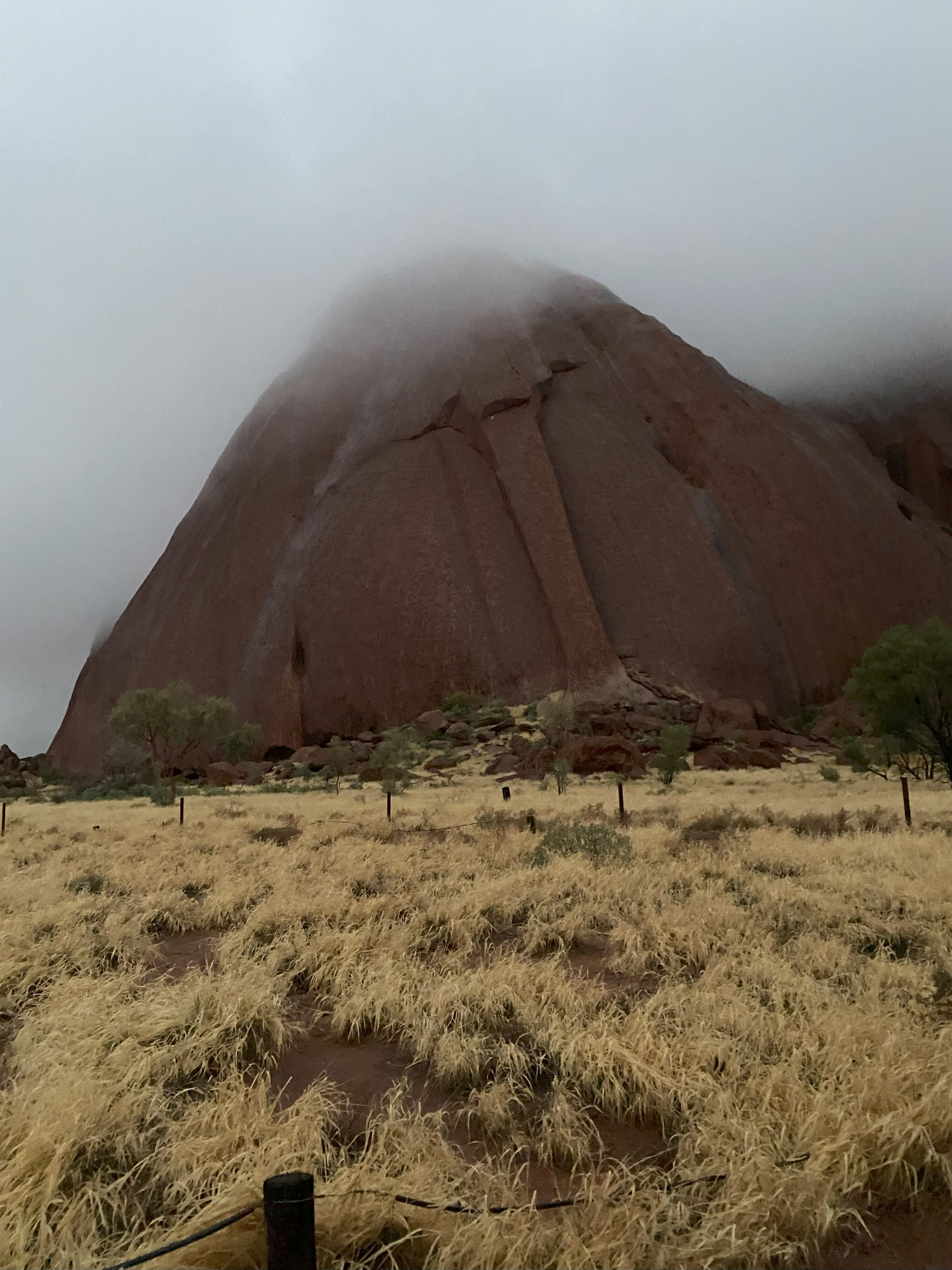 Ontdek Uluru met een tour