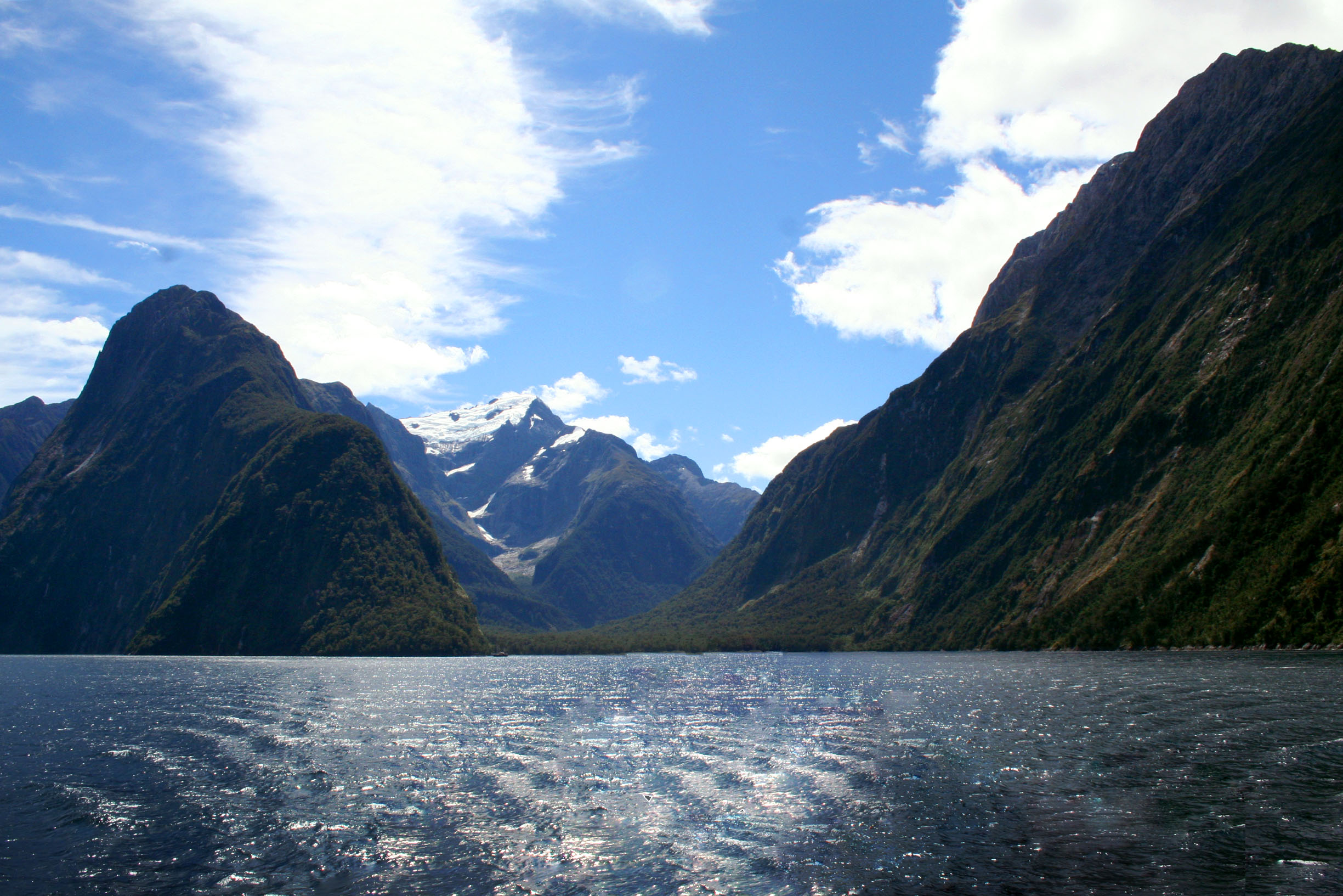 milford sound fjorden nieuw zeeland dutchies travel