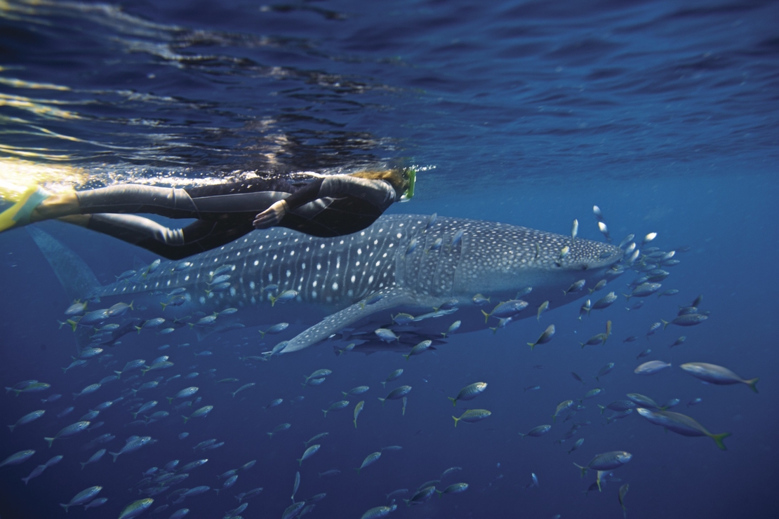 Fishing » Ningaloo Centre