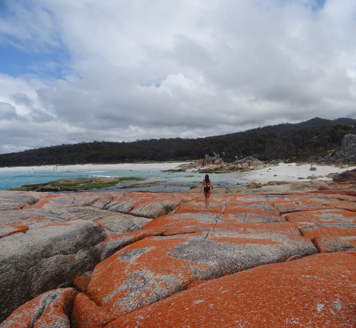 tasmanie australie bay of fires