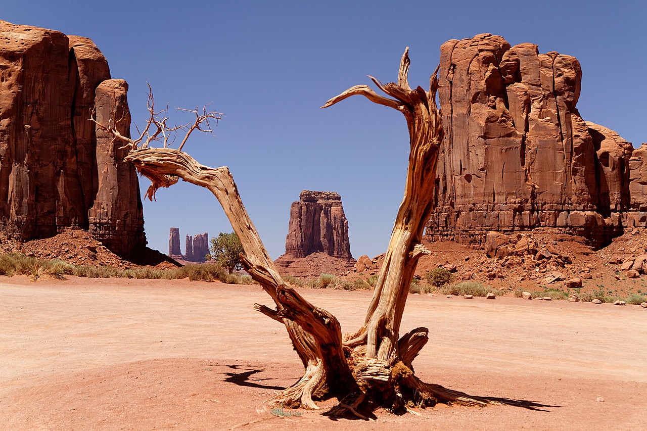 Roadtrip Amerika routes