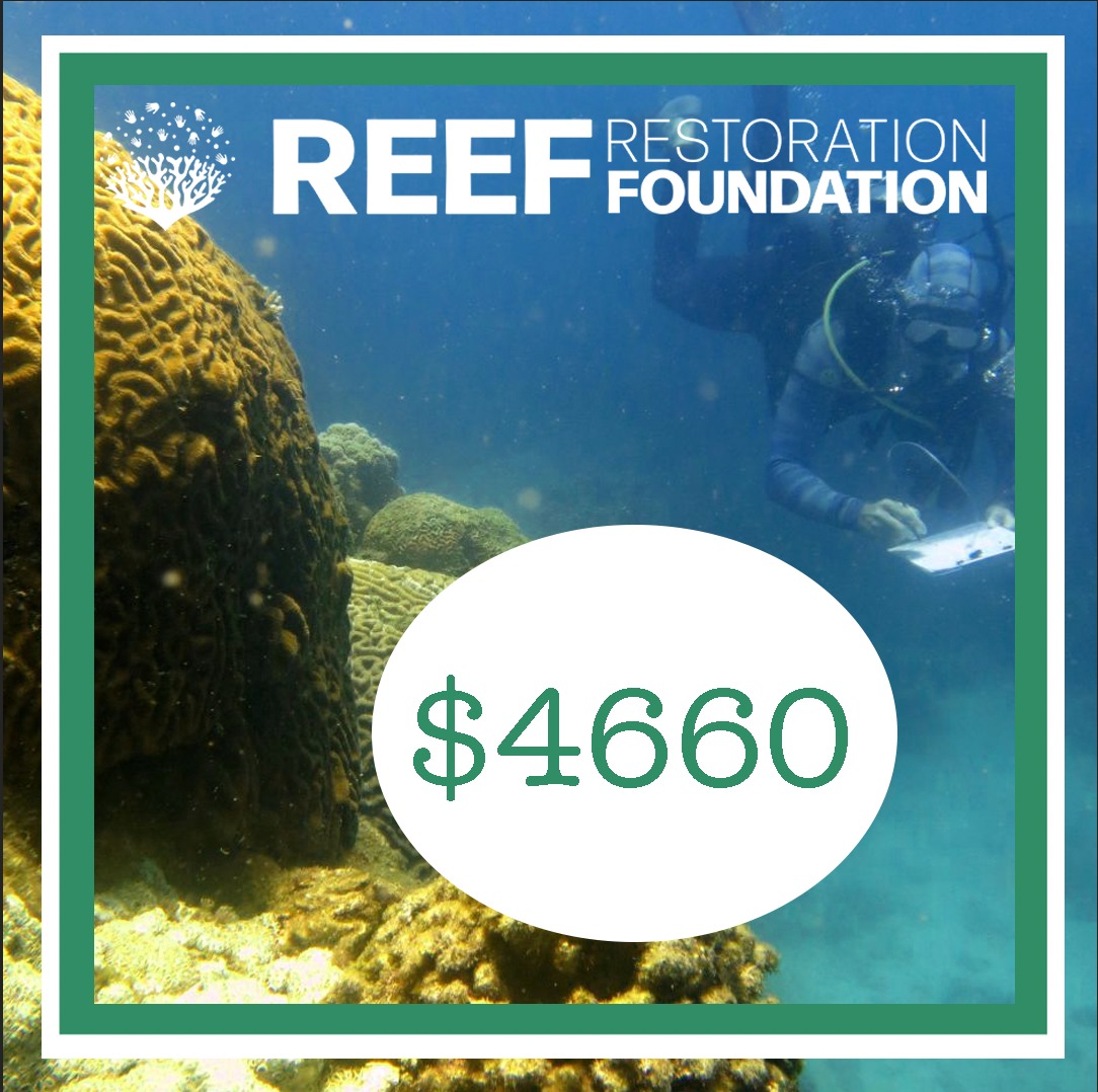 Reef restauration Donation Dutchies Travel 2023