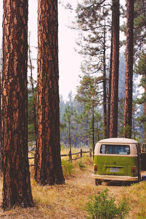 Camperreis 