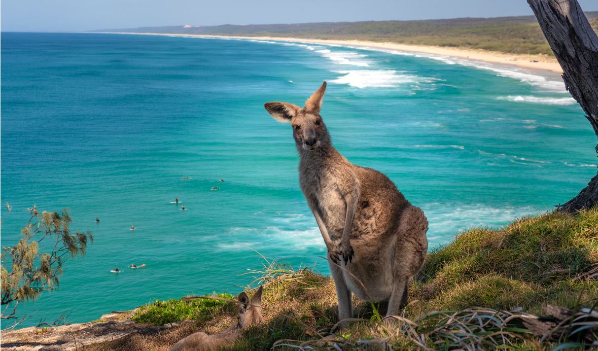 kangaroo island tour package