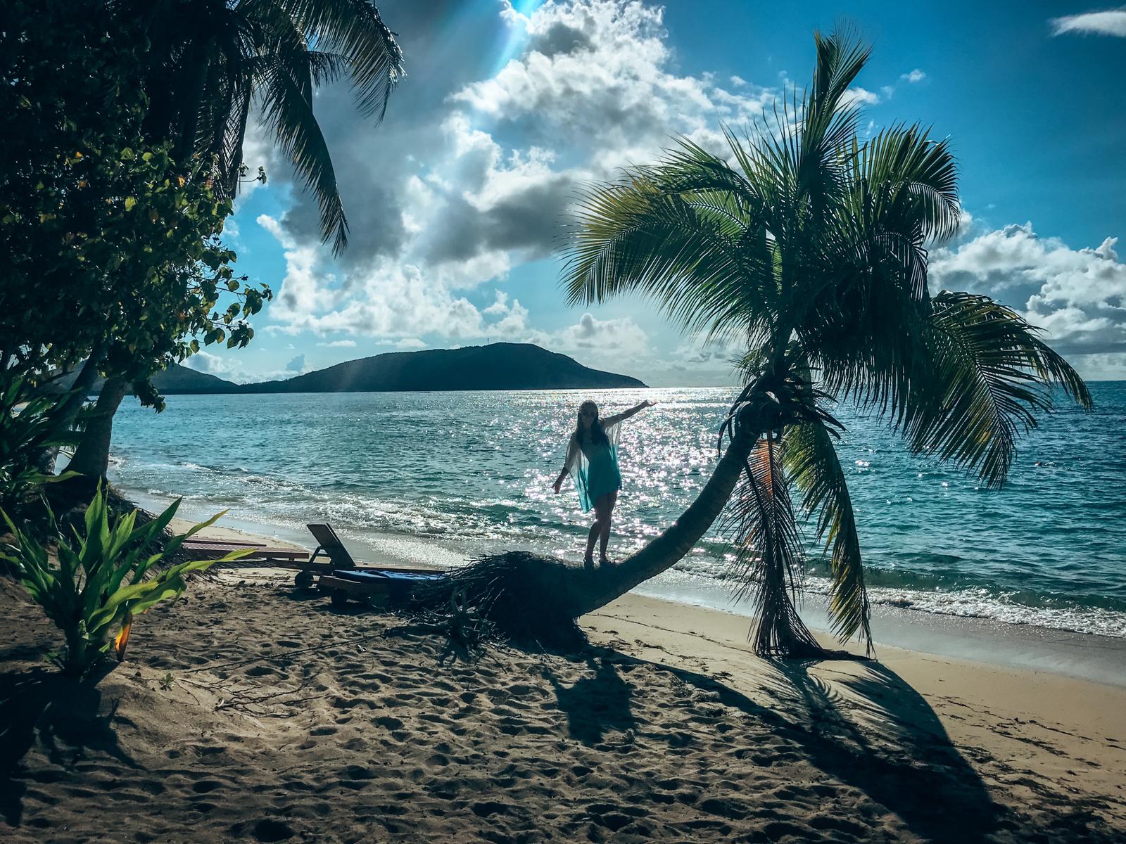 Meisje op palmboom fiji FAQ